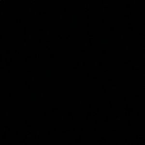 Meet your Posher, Deedee